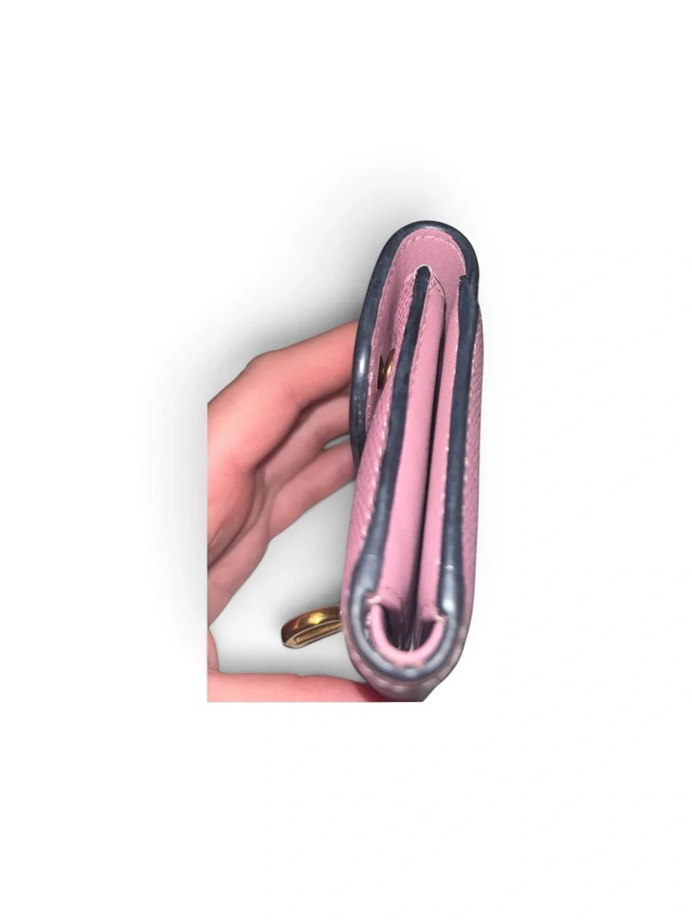 Dior authentic saddle